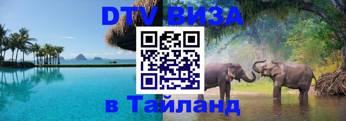 Оформление DTV визы под ключ: стоимость и тарифы, только загранпаспорт - Липецк  04.10.2025 